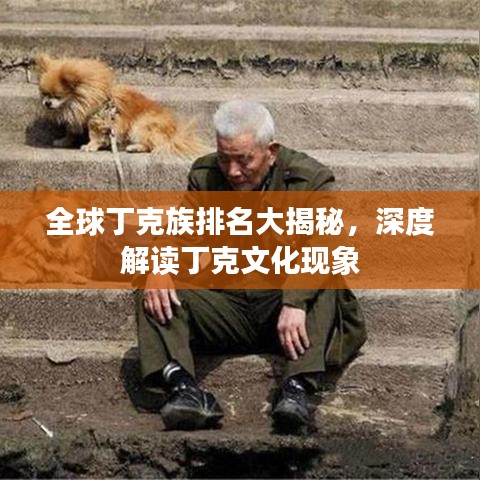 全球丁克族排名大揭秘，深度解读丁克文化现象