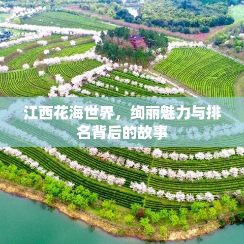 江西花海世界，绚丽魅力与排名背后的故事