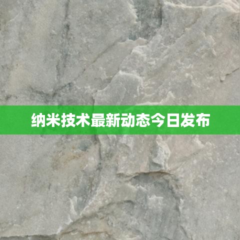 屈尊就卑 第3页
