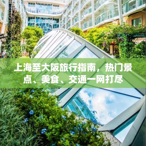 上海至大阪旅行指南，热门景点、美食、交通一网打尽