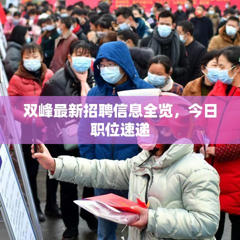 双峰最新招聘信息全览，今日职位速递
