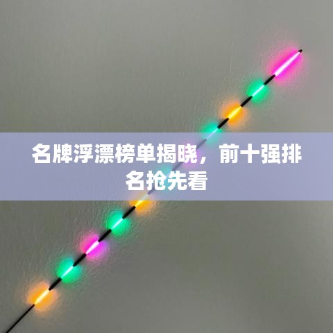 名牌浮漂榜单揭晓，前十强排名抢先看
