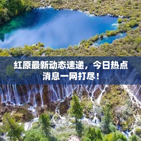红原最新动态速递，今日热点消息一网打尽！