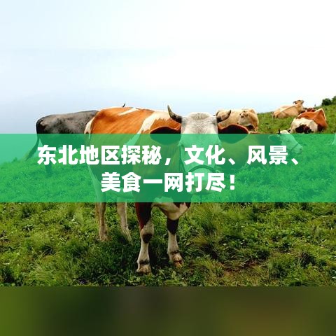 月里嫦娥 第3页
