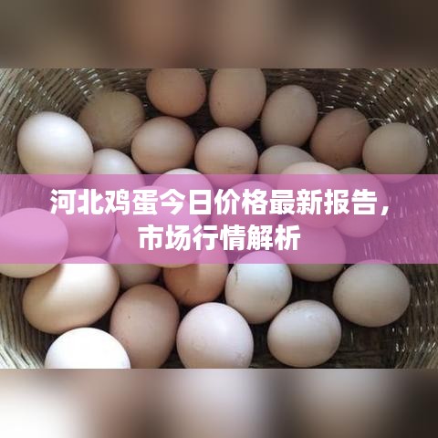 集思广益 第3页