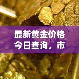 最新黄金价格今日查询，市场动态与趋势深度解析