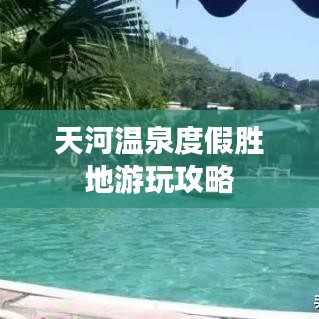 还淳反素 第4页