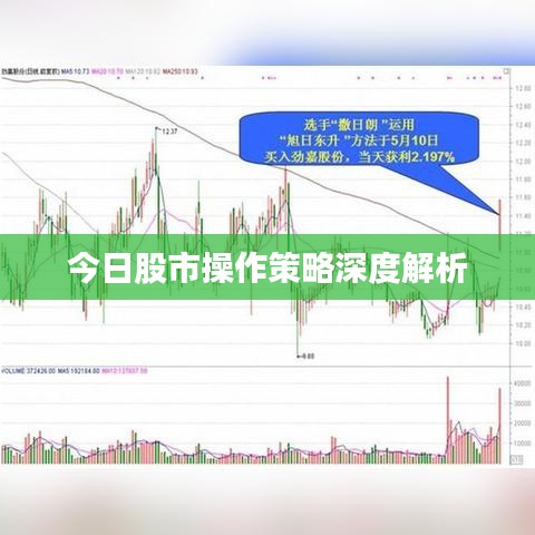 今日股市操作策略深度解析