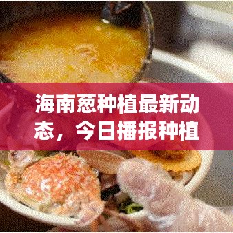 生张熟魏 第3页