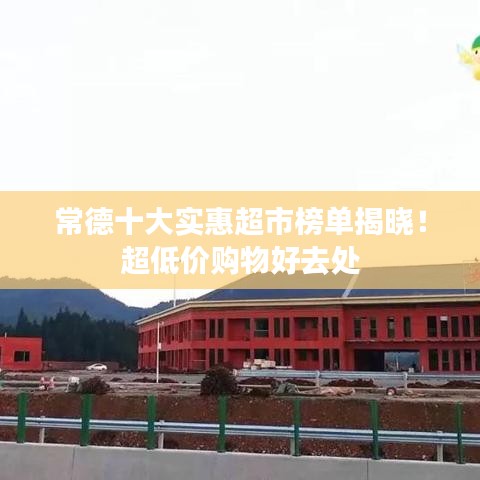 虚张声势 第3页