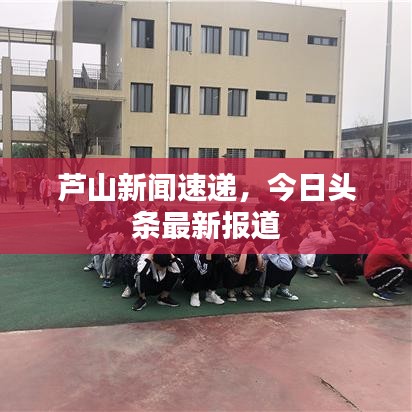 芦山新闻速递，今日头条最新报道