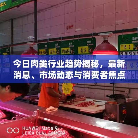 今日肉类行业趋势揭秘，最新消息、市场动态与消费者焦点关注