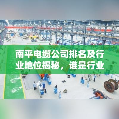 南平电缆公司排名及行业地位揭秘，谁是行业佼佼者？