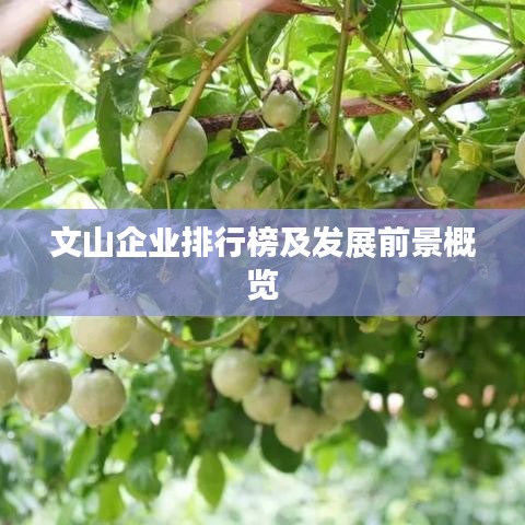 笨鸟先飞 第3页