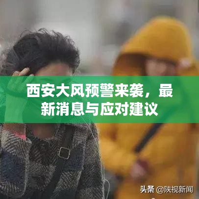 沉灶产蛙 第3页