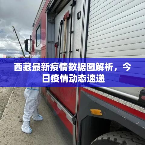 西藏最新疫情数据图解析，今日疫情动态速递
