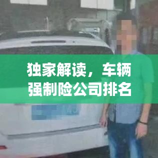 独家解读，车辆强制险公司排名首位深度剖析