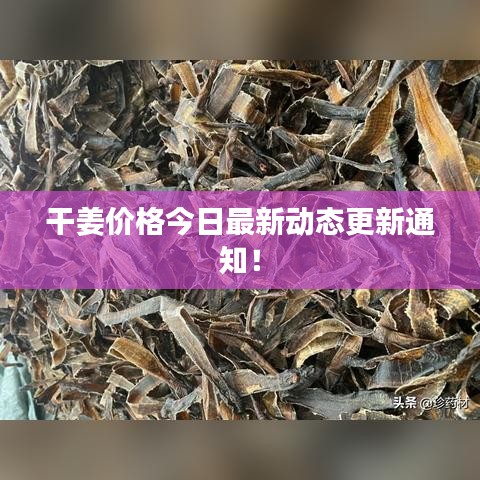 真独简贵 第3页