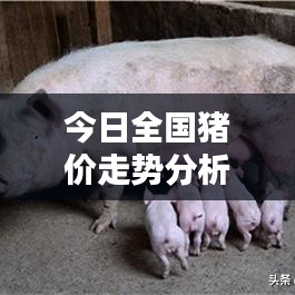鸟语花香 第3页