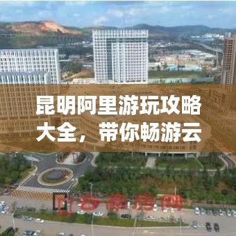 天罗地网 第3页