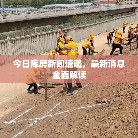 今日库房新闻速递，最新消息全面解读