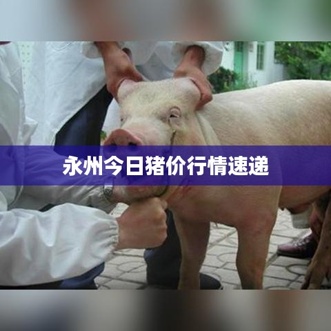 唾沫横飞 第3页