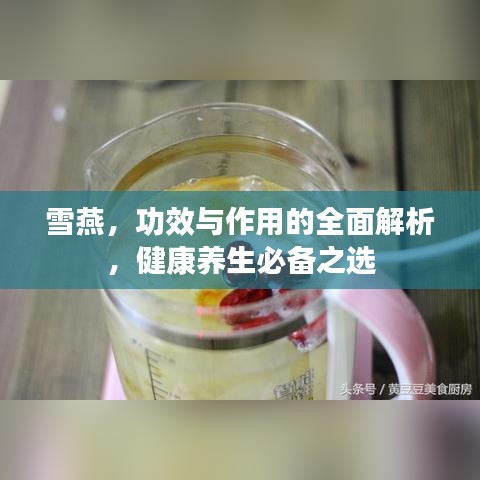 雪燕，功效与作用的全面解析，健康养生必备之选