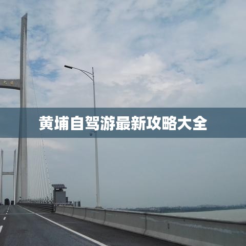 饭来张口 第2页