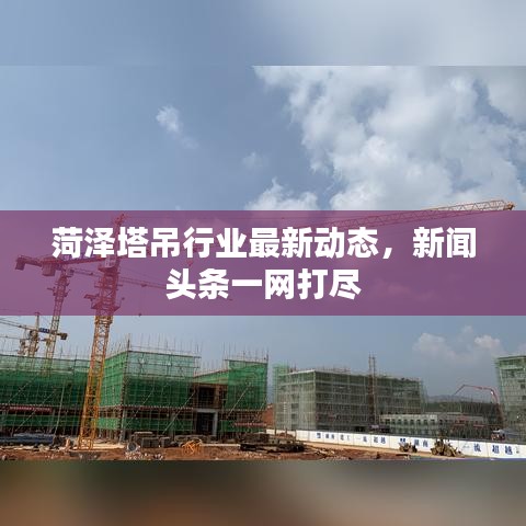 菏泽塔吊行业最新动态，新闻头条一网打尽