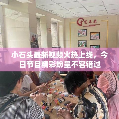 小石头最新视频火热上线，今日节目精彩纷呈不容错过