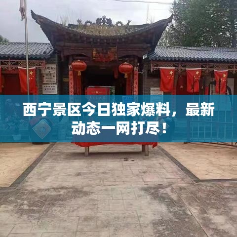 西宁景区今日独家爆料，最新动态一网打尽！