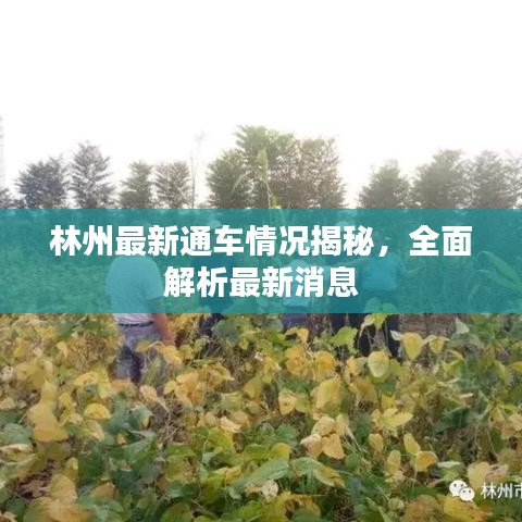 见缝就钻 第3页