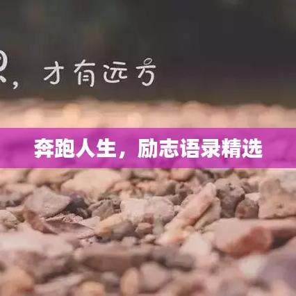 奔跑人生，励志语录精选