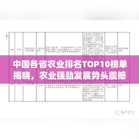 弃文就武 第3页