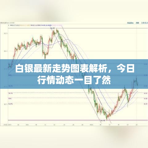 矫枉过正 第4页