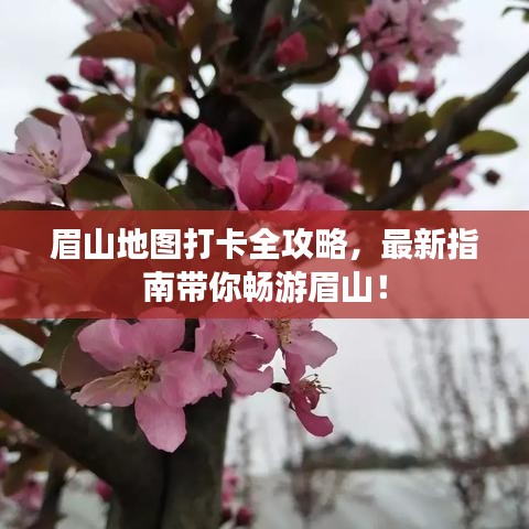 眉山地图打卡全攻略，最新指南带你畅游眉山！
