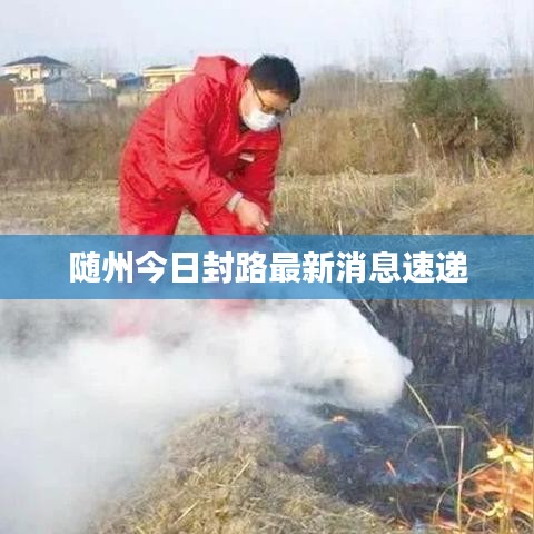 虎背熊腰 第3页