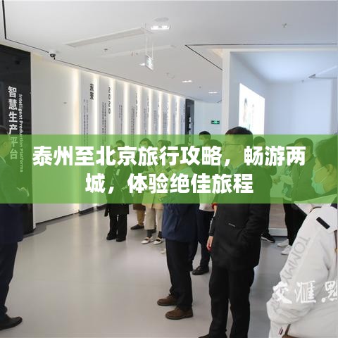 鸟吏鼈官 第2页
