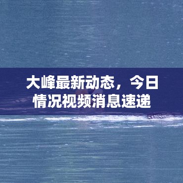 大峰最新动态，今日情况视频消息速递
