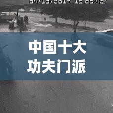 中国十大功夫门派排行榜TOP10