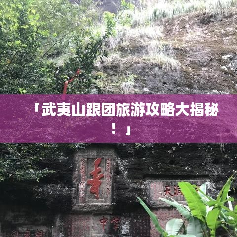 芳兰竟体 第3页