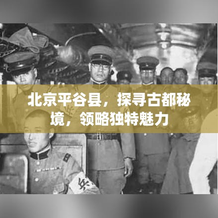 如翚斯飞 第3页