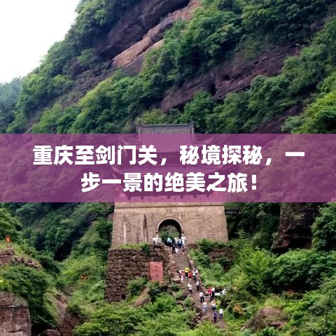郑重其事 第2页