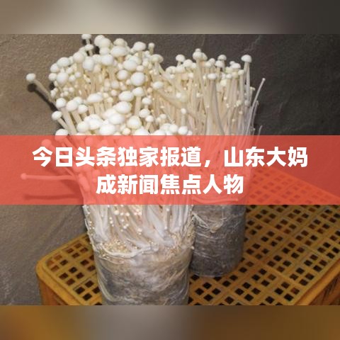 今日头条独家报道，山东大妈成新闻焦点人物
