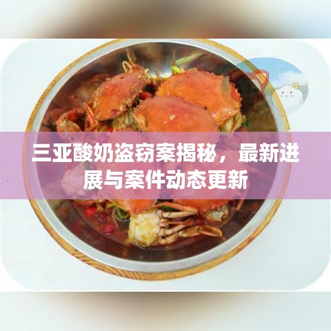 三亚酸奶盗窃案揭秘，最新进展与案件动态更新