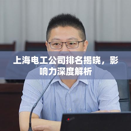 上海电工公司排名揭晓，影响力深度解析