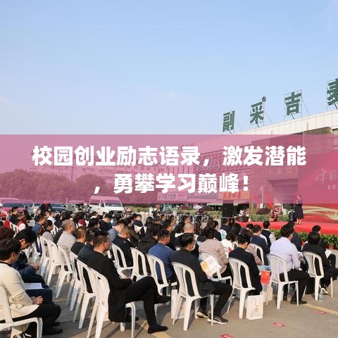 校园创业励志语录，激发潜能，勇攀学习巅峰！