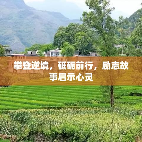 攀登逆境，砥砺前行，励志故事启示心灵