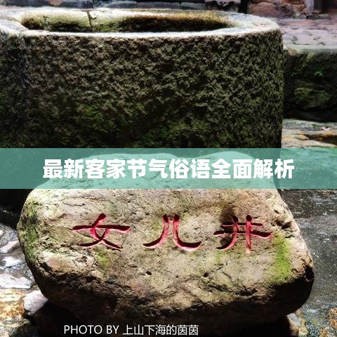 云龙井蛙 第3页