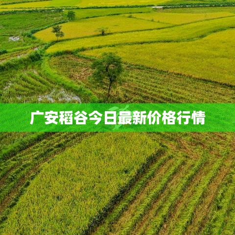 蛙蟆胜负 第3页